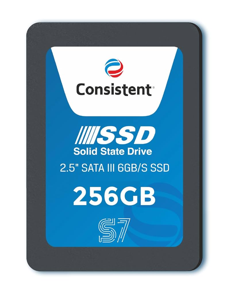 Consistant 256GB SSD Sata